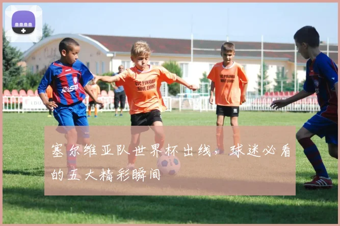 塞尔维亚队世界杯出线，球迷必看的五大精彩瞬间