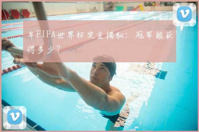年FIFA世界杯奖金揭秘：冠军能获得多少？