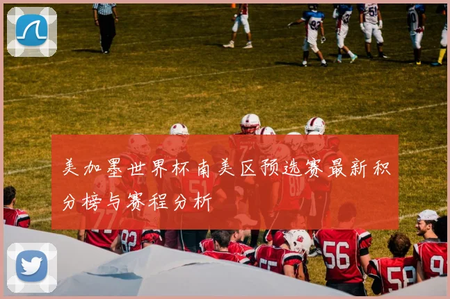 美加墨世界杯南美区预选赛最新积分榜与赛程分析