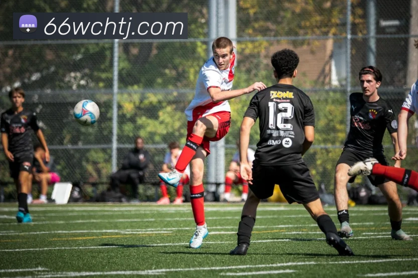 互动解说服务